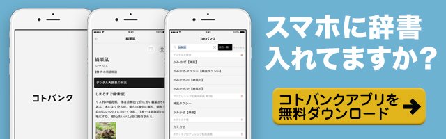 大阪 カジノ スケジュールのiPhoneアプリ 無料ダウンロードはこちら